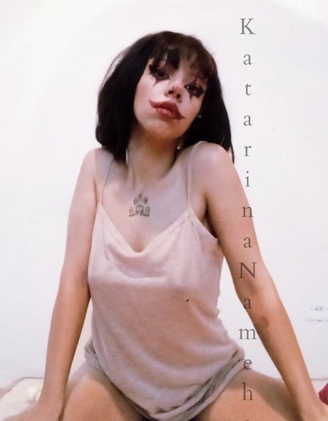 Katarinameha HDモデル 写真