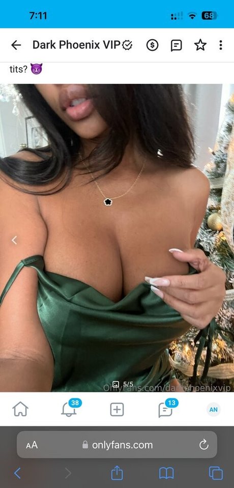 Dark Phoenix HDモデル 画像