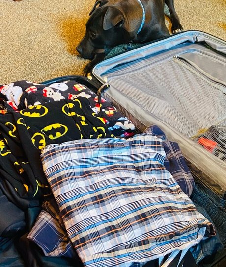 lilrosiedoll ホットなポルノスター 画像