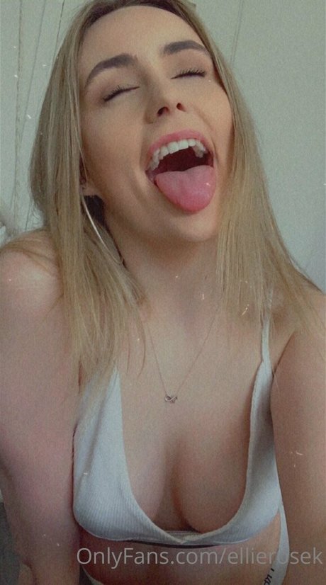 Ellierosek HDモデル 画像