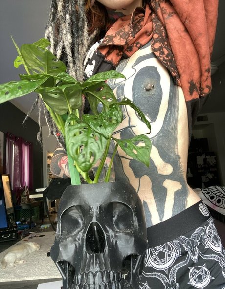 kota morgue セクシーなポルノスター ギャラリー