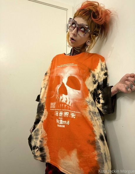 kota morgue 完璧なスター 画像