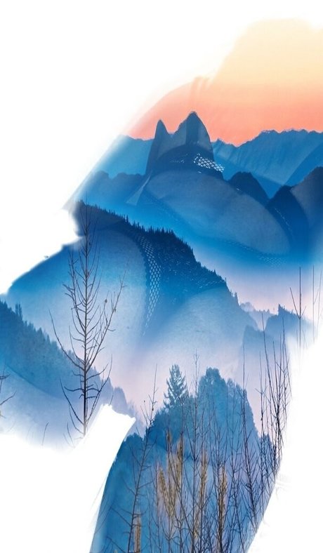 smusa 高品質スター アーカイブ