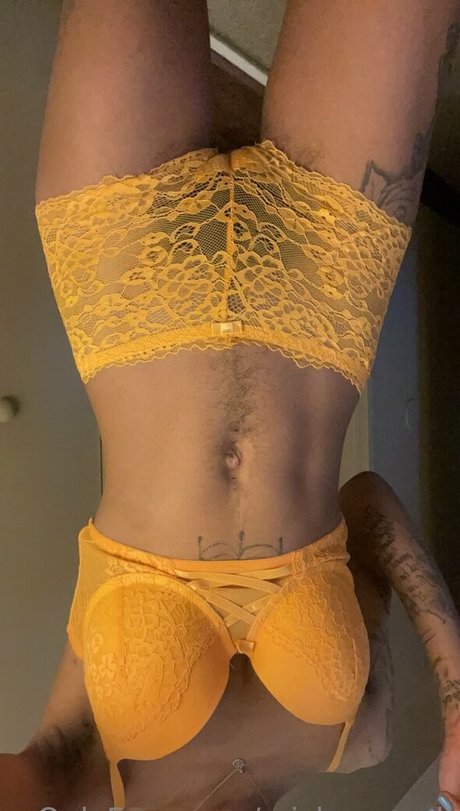 mickeymooh 無料スター 画像