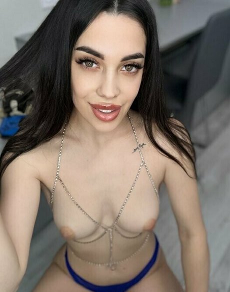 llita lola 限定スター アーカイブ