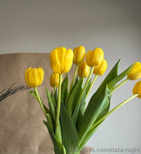 data night 最高の女優 写真