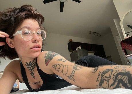 data night 独占ポルノスター 写真