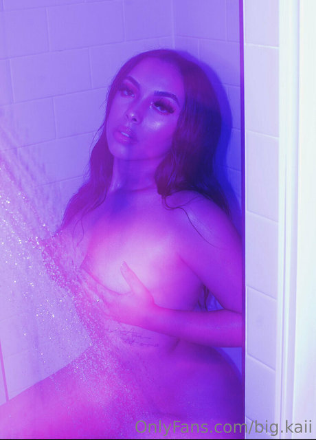 big kaii アートスター 写真