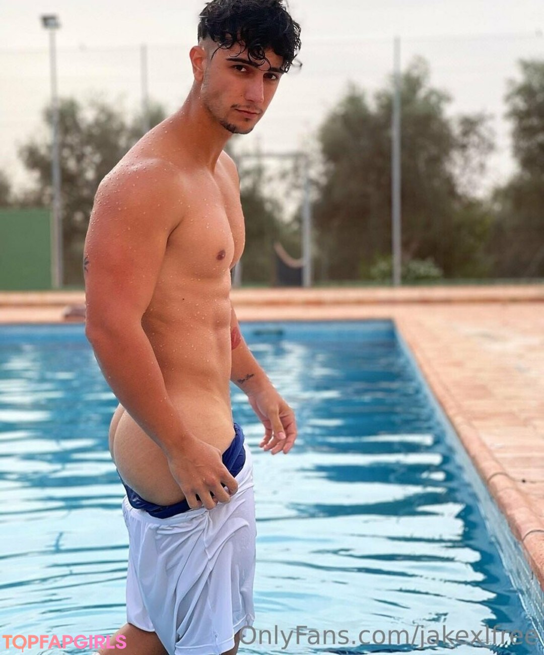 POVオンリーファン HD 写真