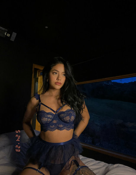 Novlux 無料モデル 写真