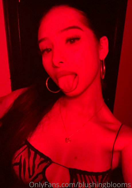 blushingblooms 美しいスター 写真