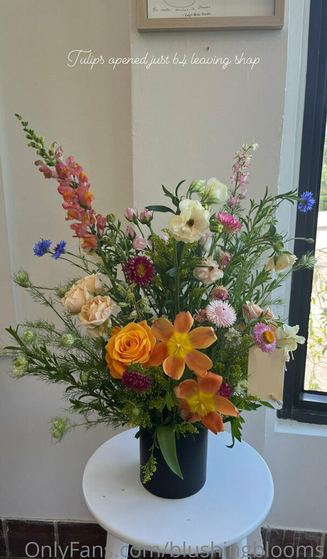 blushingblooms ポルノモデル 画像