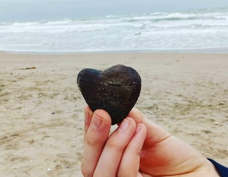 BBCパブリックオンリーファンズ ホットセックス アーカイブ