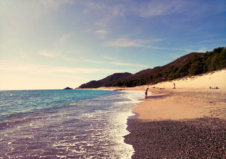 natuvic free アートモデル ギャラリー