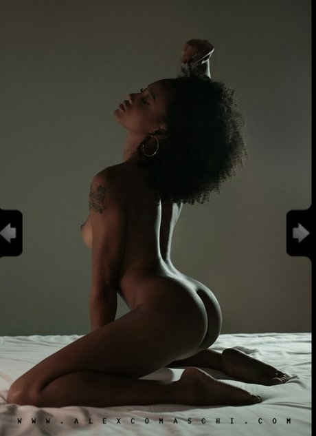 Erika Crisi 高品質のポルノスター 画像