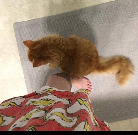 Amanda The Jedi ポルノ女優 画像