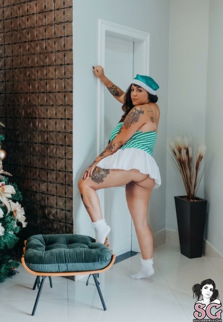 Arthemis 完璧なスター 写真