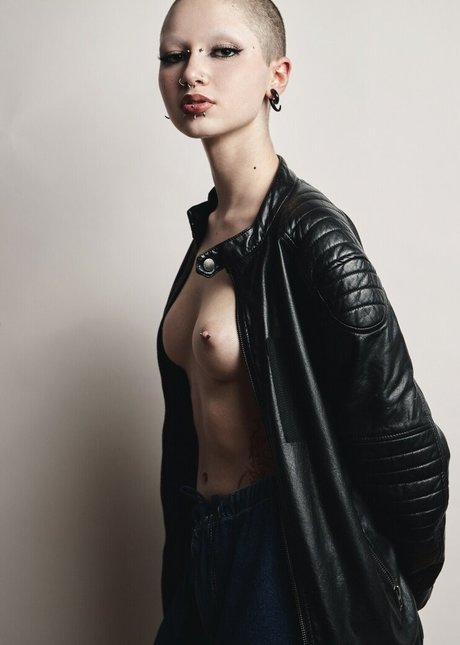 punk doberman スター ヌード アーカイブ