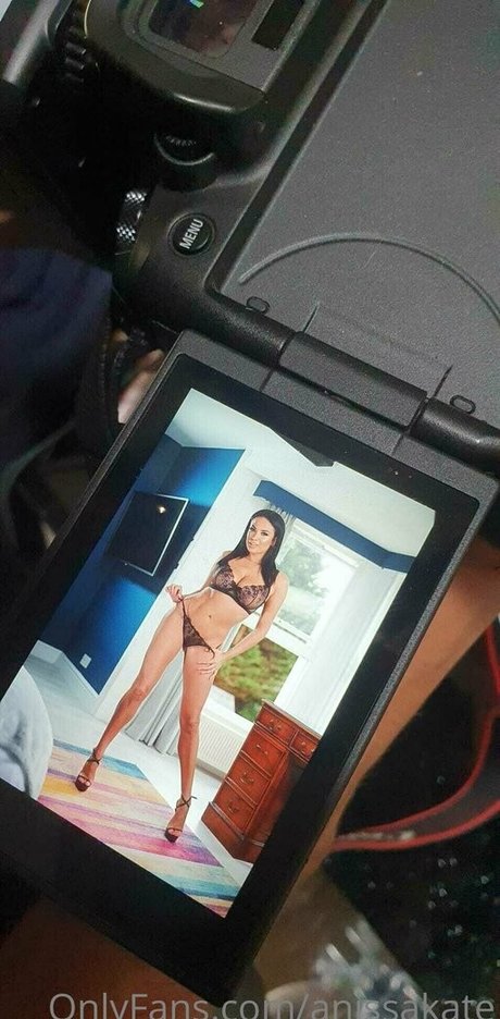 Anissakate 限定スター 画像