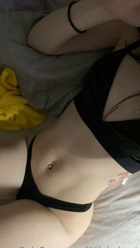 littlebabyyt 限定モデル 写真