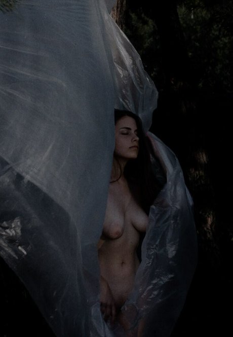 Kate Wonder 独占モデル 画像