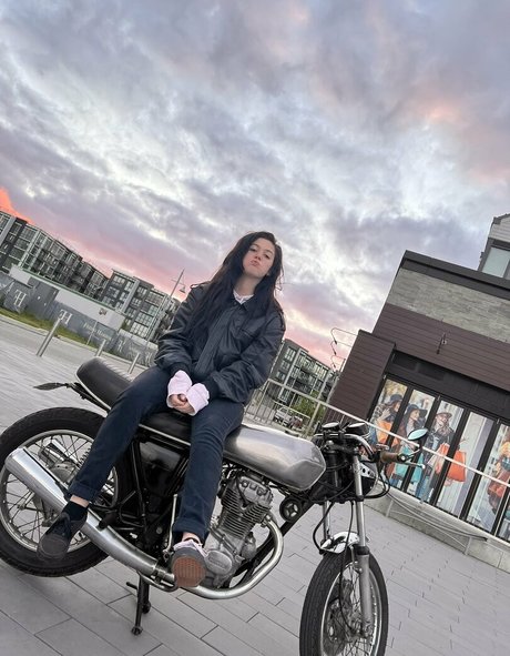 Ellie Nova HDモデル 写真