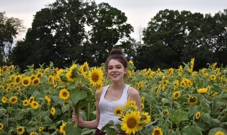 rosecastella 限定スター アーカイブ