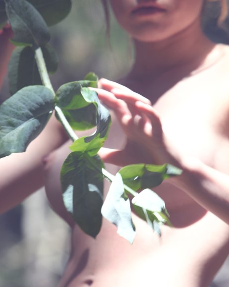 Summer Michelle 無料のポルノスター 画像