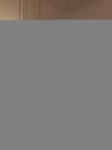 debbie cyber アート女優 画像