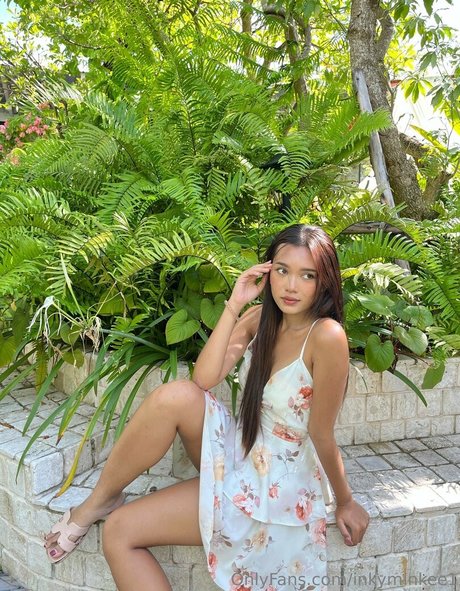 inkyminkee1 HDモデル 写真