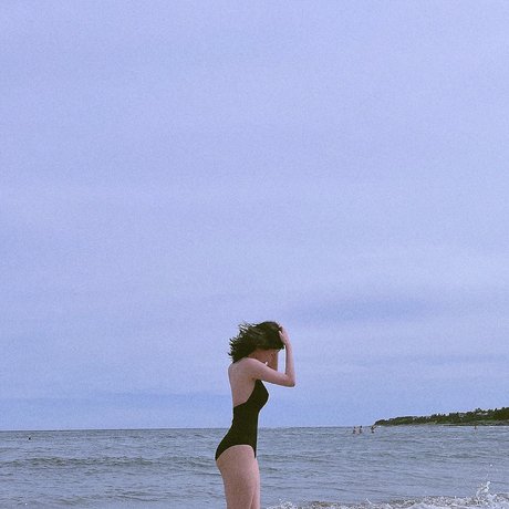 Harutan スター 写真