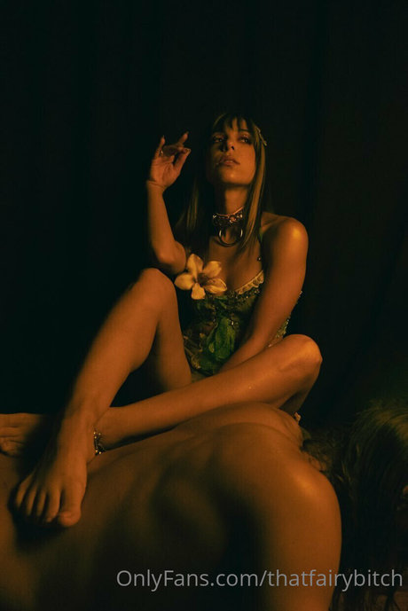 _Moonlit Fae 最高のスター 写真