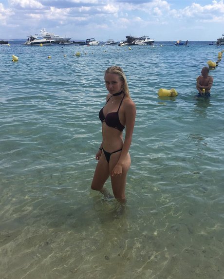 _Baby Bonita アートスター 画像