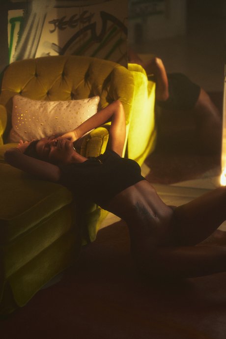 Luci Lane_ 無料のスター 写真