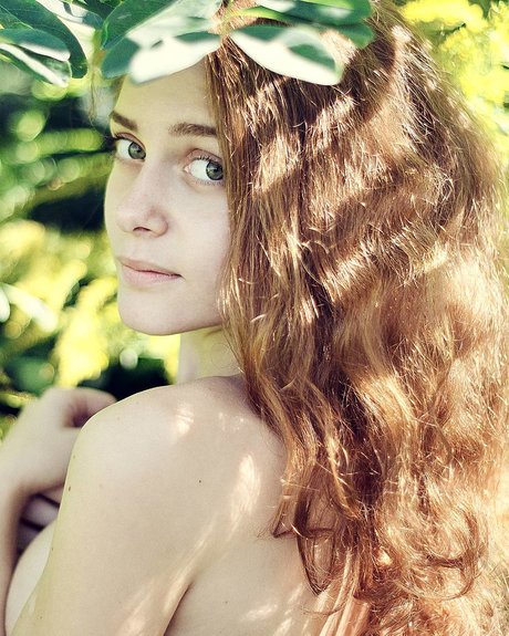 Ave Maria_ ホットスター 写真