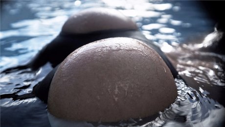 黒人女性のオンリーファンズ ホットセクシー 写真