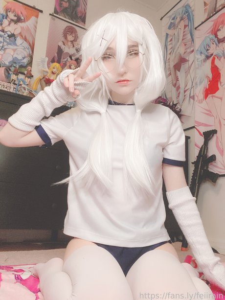 Feiirain 高品質モデル 画像