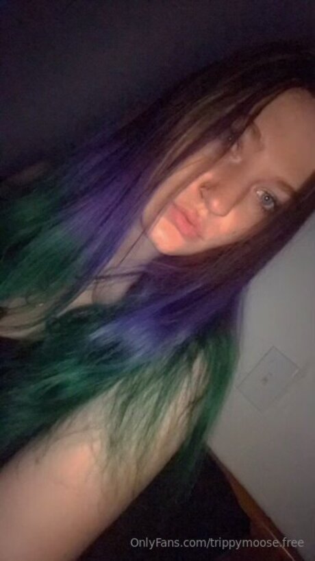 Trippymoose Free 限定モデル 写真