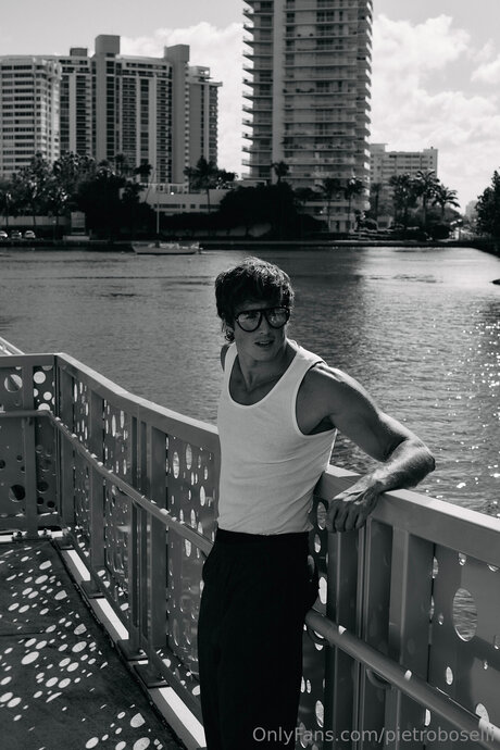 Pietroboselli 素敵なスター 写真