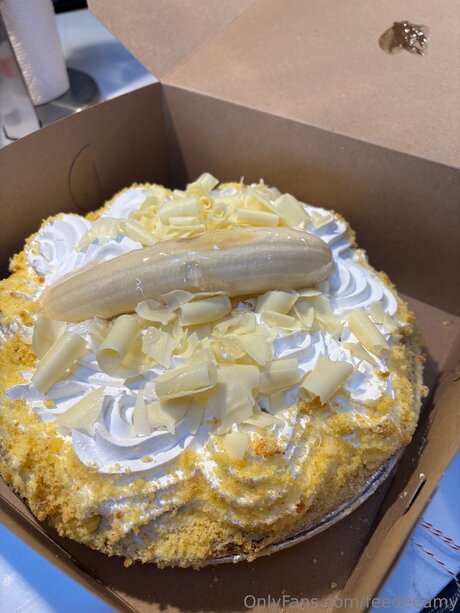 Feedeeamy 高品質モデル ギャラリー