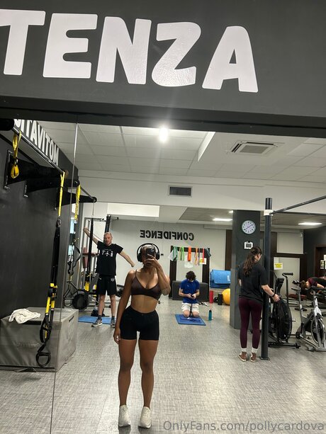 Pollycardova アートスター 画像