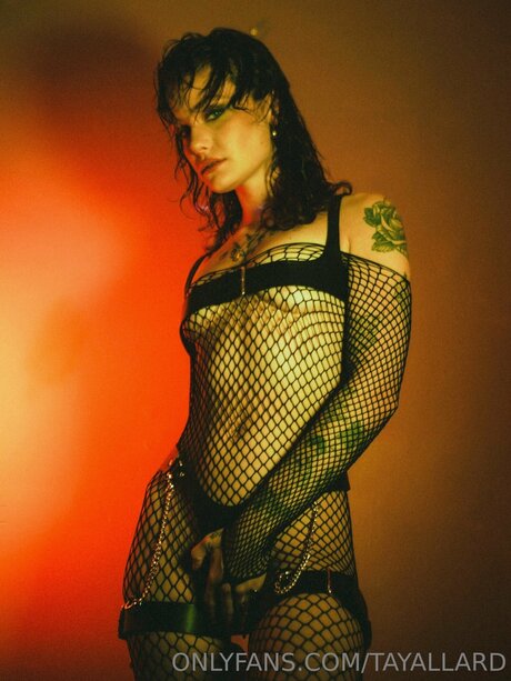 Tayallard 完璧なスター 写真