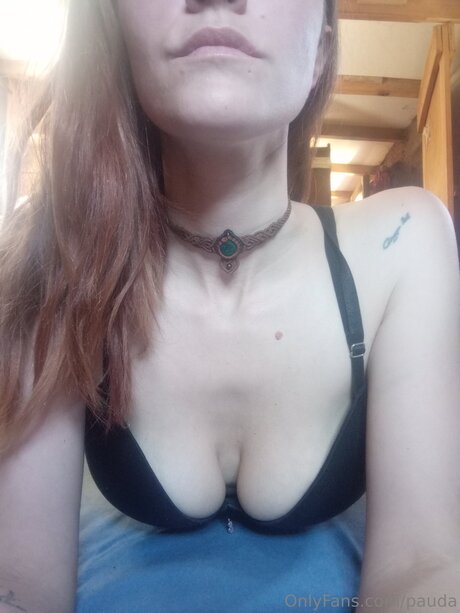 Pauda トップスター 写真