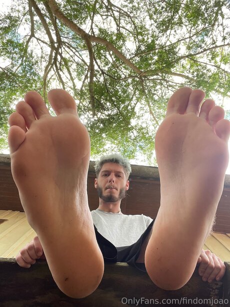 Findomjoao かわいいポルノスター 写真