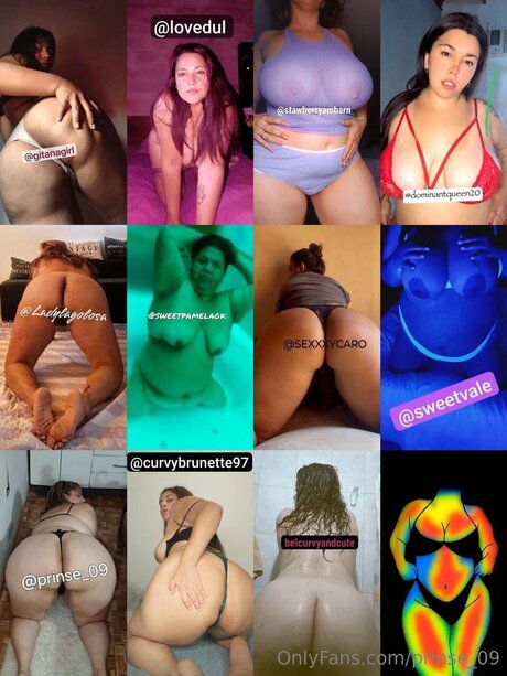 Prinse 09 完璧な女優 写真