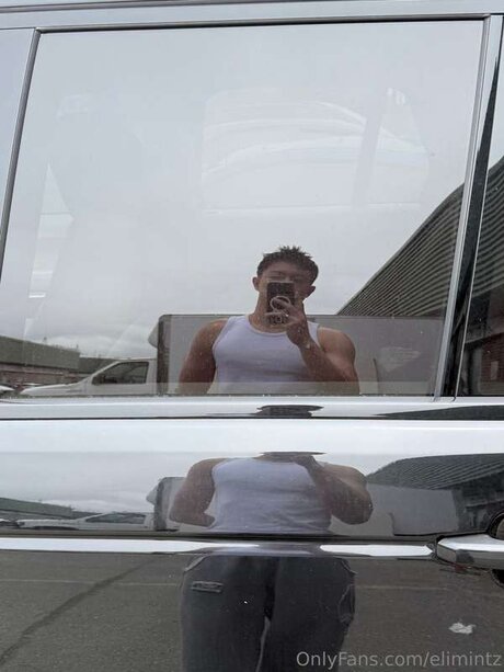 Elimintz 完璧なポルノスター 画像