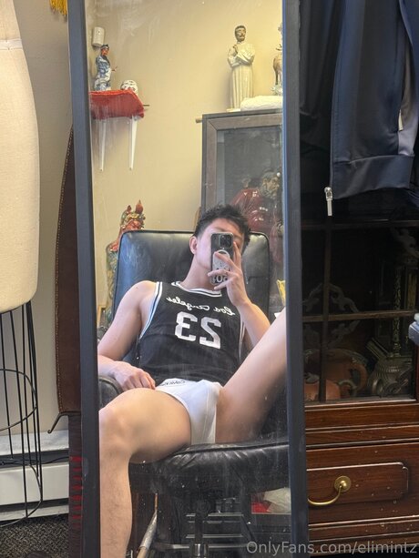 Elimintz HDモデル 画像