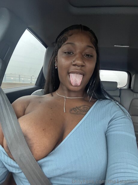 The1stallion 高品質女優 画像