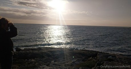 softchili 無料モデル 画像