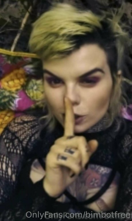 bimbotfree 完璧なモデル 画像